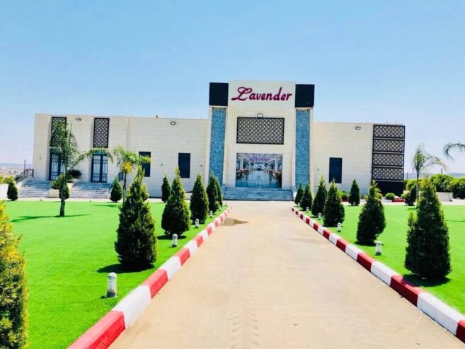 قاعات لافندر Lavender