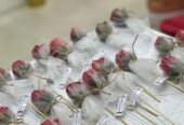 Aseel Flowers & Gifts
